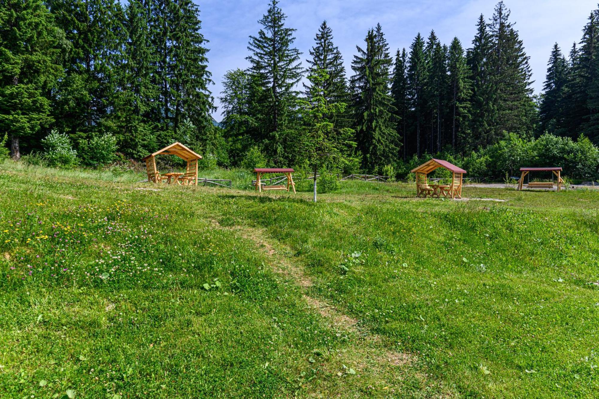 Apartment "Mountain Relax" โปยานาบราซอฟ ภายนอก รูปภาพ